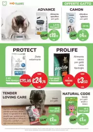 Volantino ZooPlanet Pagina 8