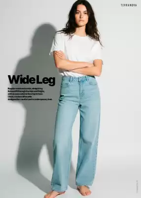 Folleto Terranova (válido hasta el 4-04)