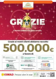 Volantino Conad Margherita Pagina 20