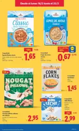 Catálogo Lidl semana 8 Página 13