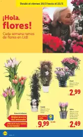 Catálogo Lidl semana 8 Página 40