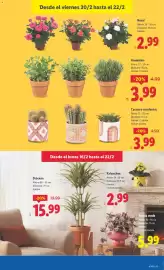 Catálogo Lidl semana 8 Página 41