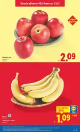 Catálogo Lidl semana 8 Página 7