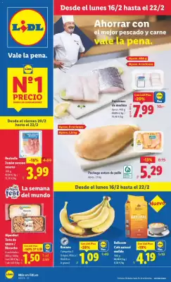 Catálogo Lidl