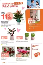 Catálogo Jardiland Página 2