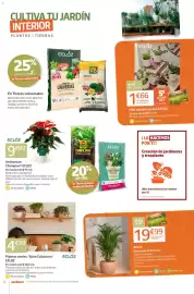 Catálogo Jardiland Página 6