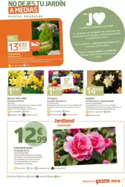 Catálogo Jardiland Página 7