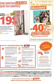 Catálogo Jardiland Página 8