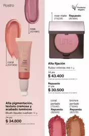 Catálogo Natura Página 106