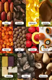 Catálogo Natura Página 165