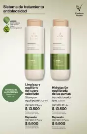 Catálogo Natura Página 241