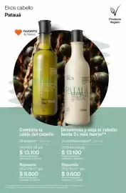 Catálogo Natura Página 256