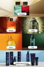 Catálogo Natura Página 55