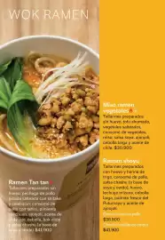 Catálogo Wok Página 17