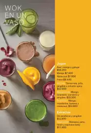 Catálogo Wok Página 5