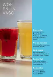 Catálogo Wok Página 6