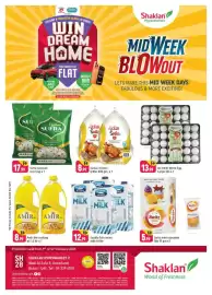 Shaklan leaflet Page 1