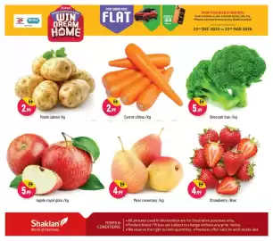 Shaklan leaflet Page 3