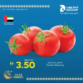 Abu Dhabi Coop leaflet Page 2