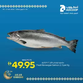 Abu Dhabi Coop leaflet Page 4