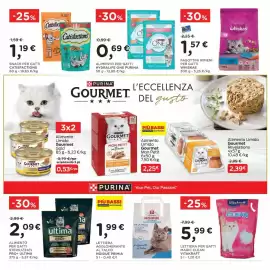 Volantino Orvea Pagina 31