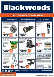 Blackwoods catalogue Page 32