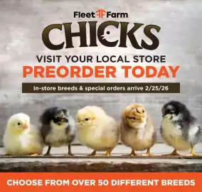 Mills Fleet Farm weekly ad week 7 Page 6