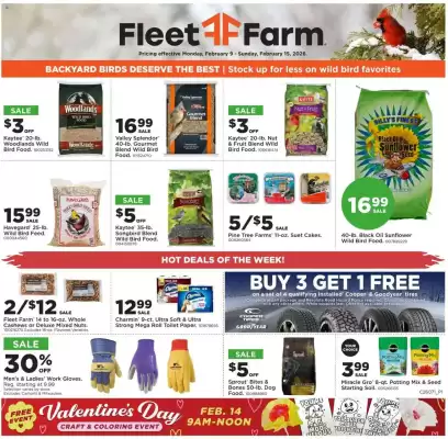 Mills Fleet Farm weekly ad (valid until 15-02)