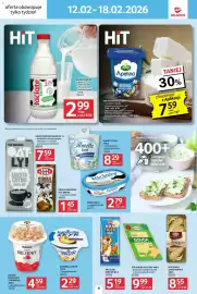 Selgros gazetka tydzień 7 Strona 4