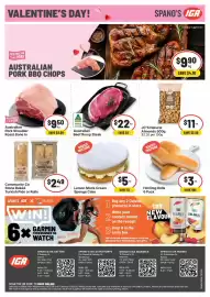 IGA catalogue week 7 Page 2