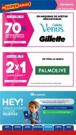 Catálogo La Anonima Página 33