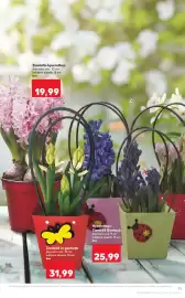 Catalog Kaufland săptămâna 7 Pagină 11
