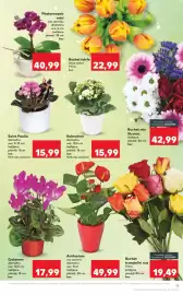 Catalog Kaufland săptămâna 7 Pagină 13