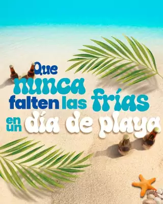 Catálogo Ferrisariato (válido hasta 15-02)