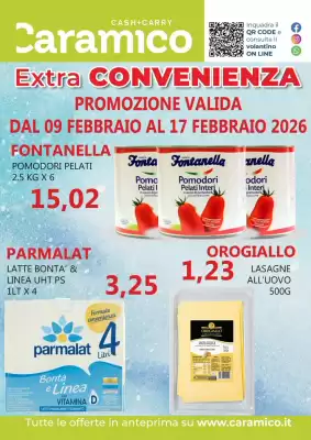 Volantino Caramico (valido fino al 17-02)