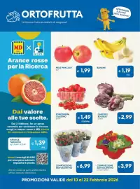 Volantino MD Discount Pagina 10