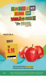 Catálogo Brasil Supermercados Página 9