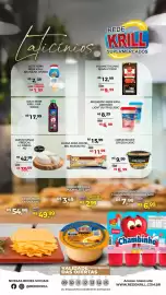 Folheto Rede Krill semana 7 Página 2