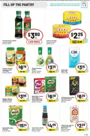 IGA catalogue week 7 Page 9