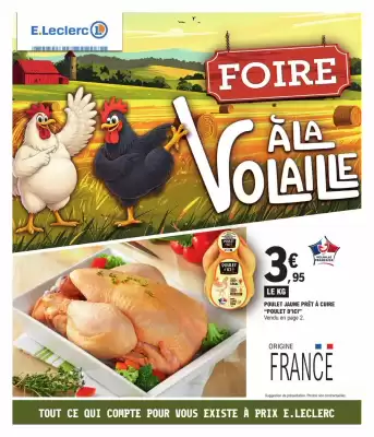 Catalogue E.Leclerc (valable jusqu'au 15-02)