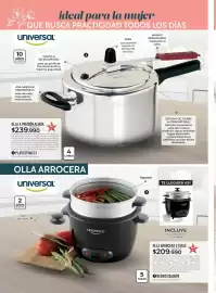 Catálogo Croydon Página 236