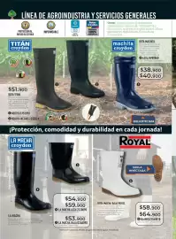 Catálogo Croydon Página 270