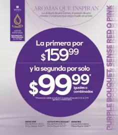 Catálogo Stanhome Página 113