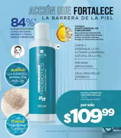 Catálogo Stanhome Página 89