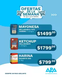 Catálogo APA Supermercados semana 7 Página 4