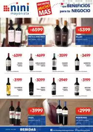 Catálogo Nini Mayorista semana 7 Página 14