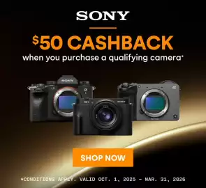 Henry's flyer Page 12