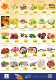 Nesto catalogue Page 2