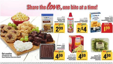 Food Lion weekly ad week 7 Page 16