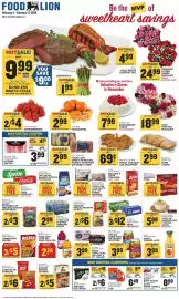 Food Lion weekly ad week 7 Page 1